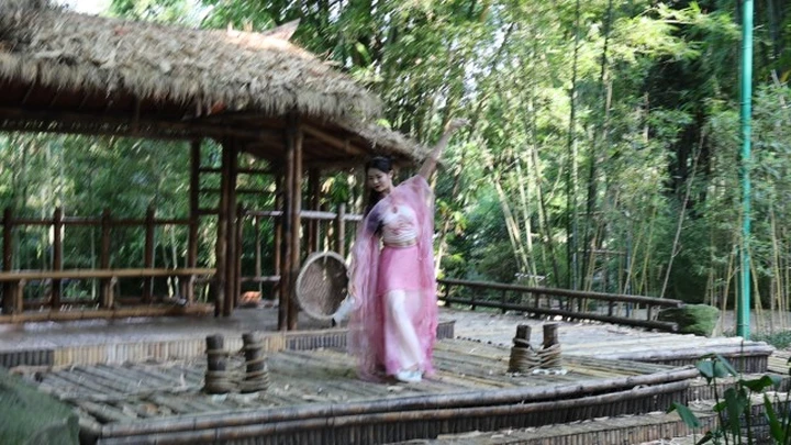 竹林舞影