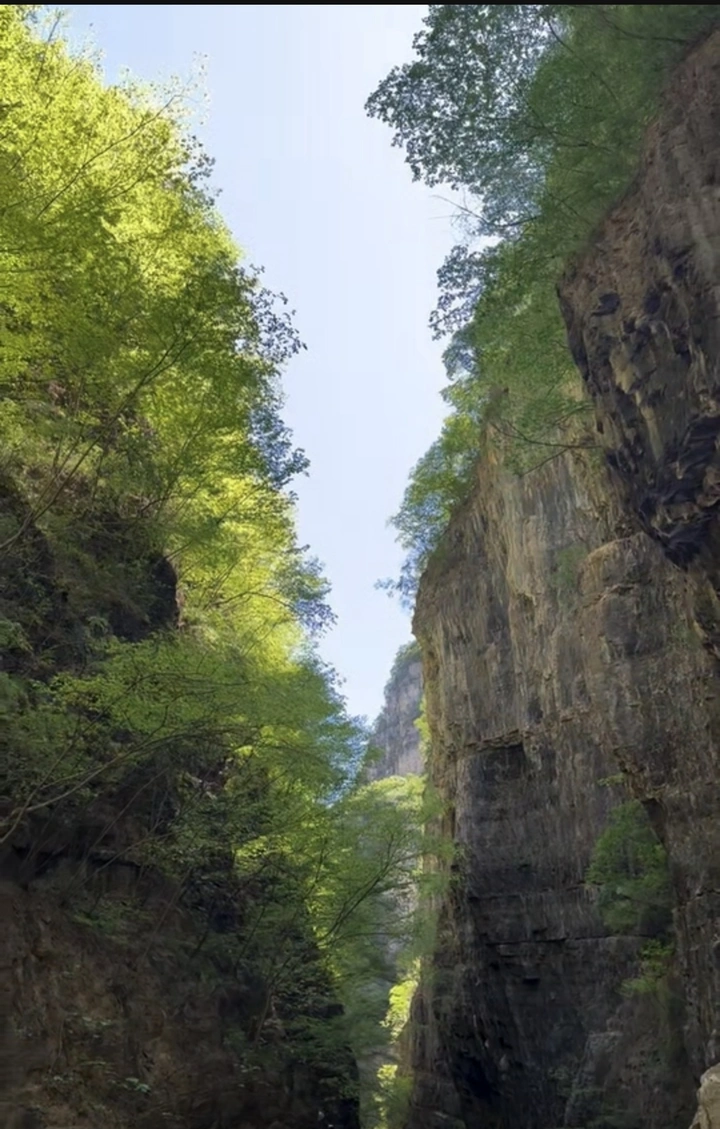 山崖两重天