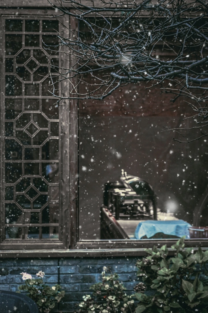 夏天的雪