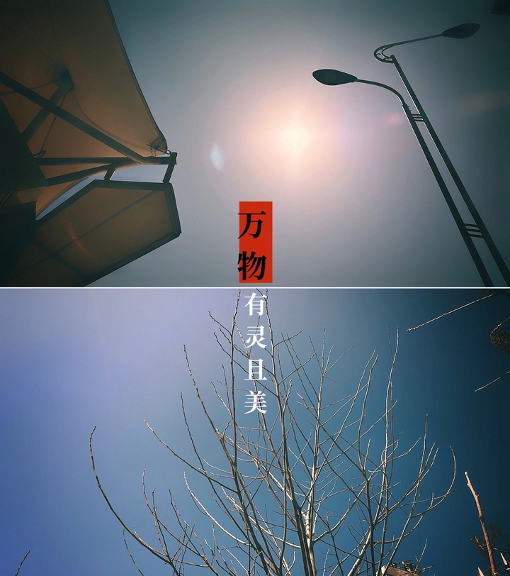 iPhone随手拍 今日打卡