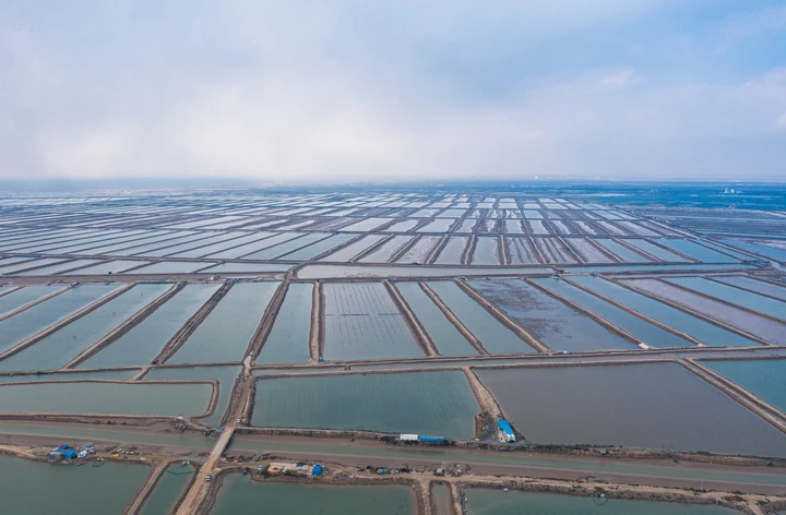 山东省东营市航拍海滨以及水产养殖场