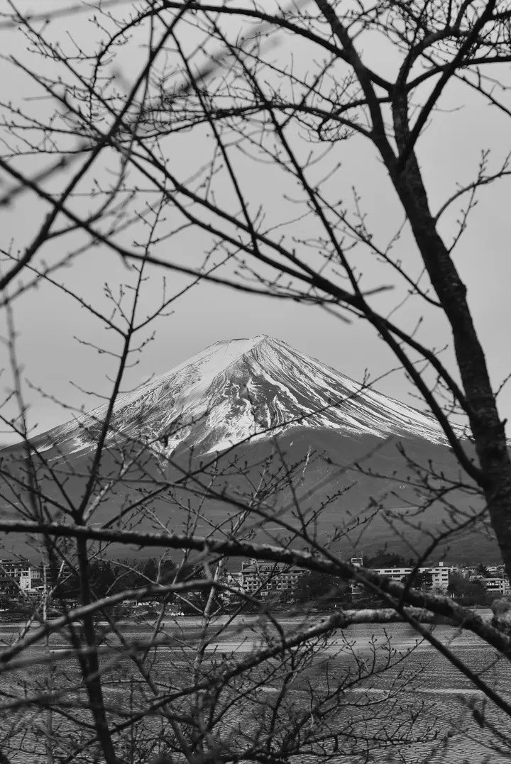 富士山下
