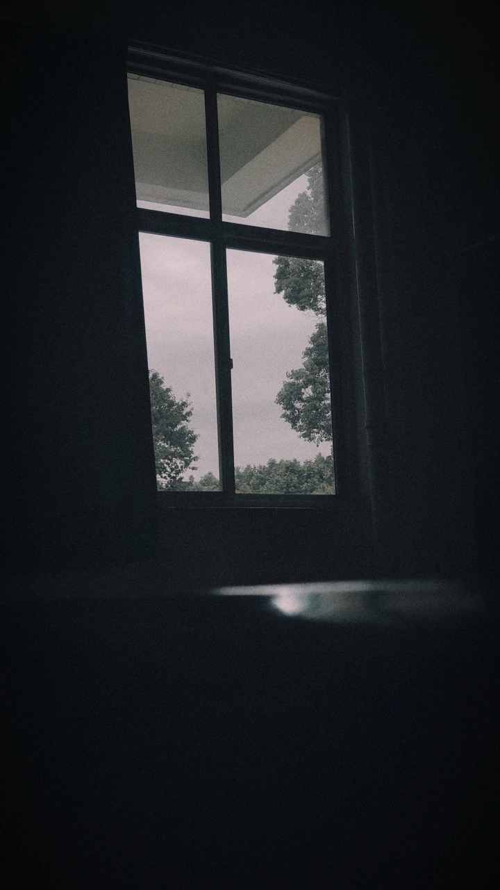窗外