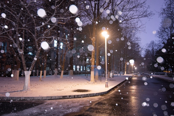 雪夜南林