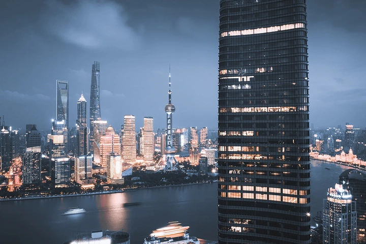 白玉兰旁 观