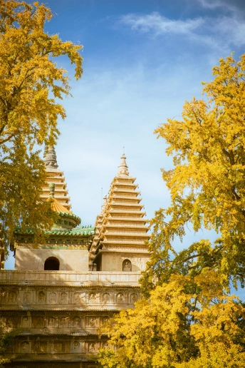 城市中的一个秋天里的塔