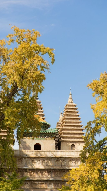 城市中的一个寺庙 前景有树