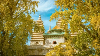 公园环绕着树木的一座塔