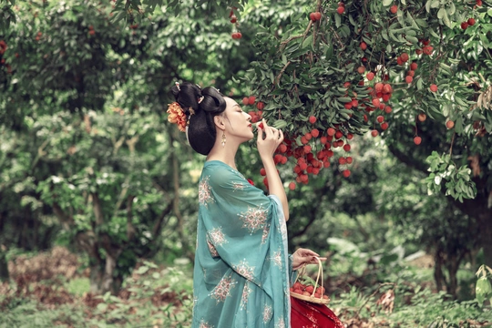 一个穿着蓝色连衣裙的女人拿着一篮红色浆果站在树旁的花园里
