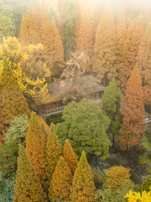 秋天被五彩斑斓的树环绕的小屋