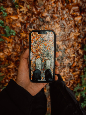 一个人拿着一部手机 屏幕上显示着森林的图片。