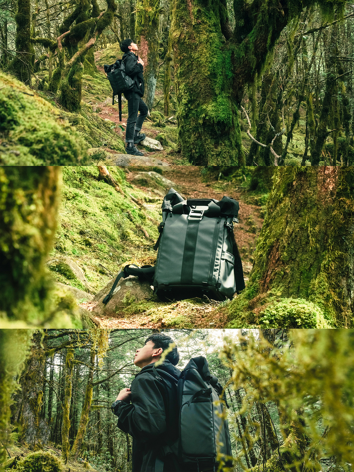 一个人背着背包和其他一些包站在森林小路上