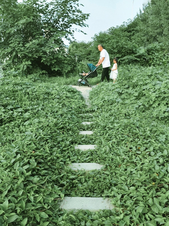 等你路过