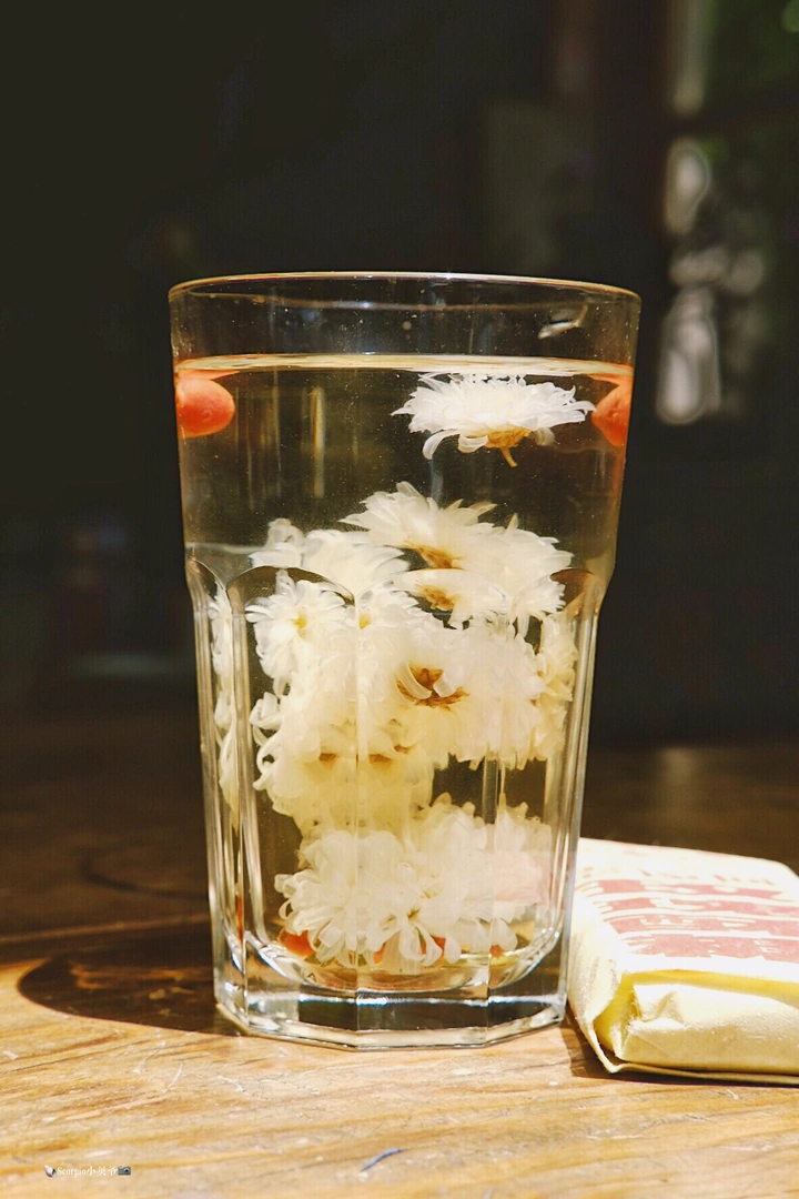 静物