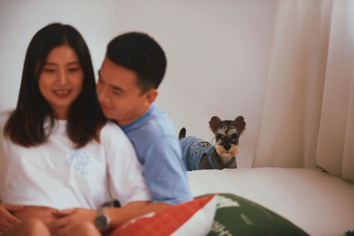 谁说怀孕就不能养狗勾了