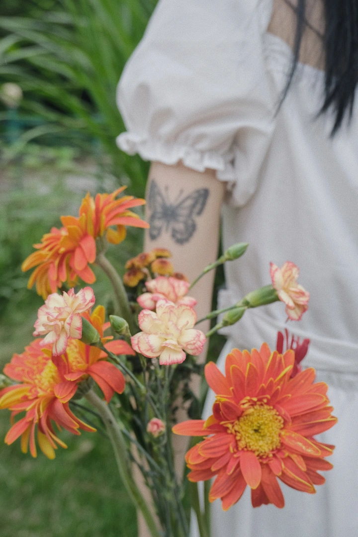 蝶恋花
