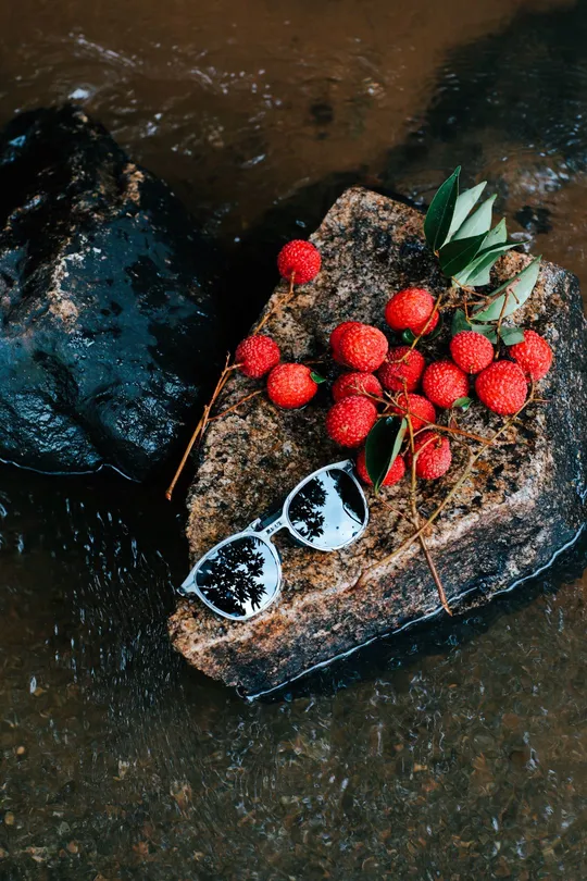 河中的一块石头 有一些水和一些红浆果。