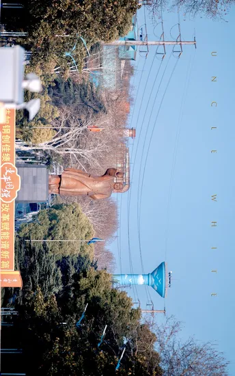 一条街道 有电线杆、树木、标志 以及水中的一个人的倒影。