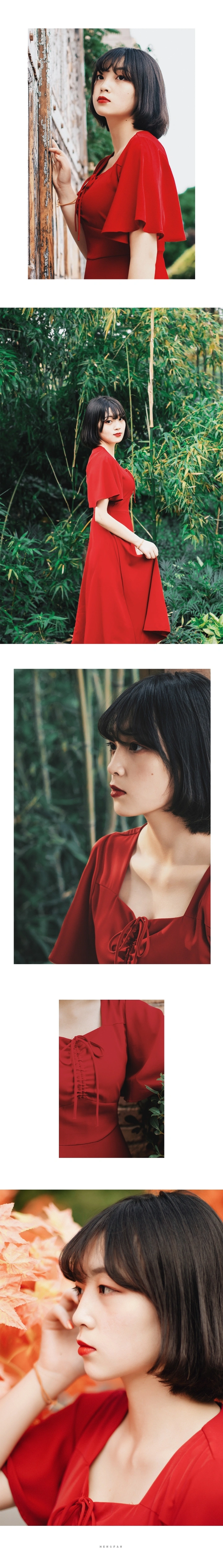 红玫瑰 还是 蚊子血