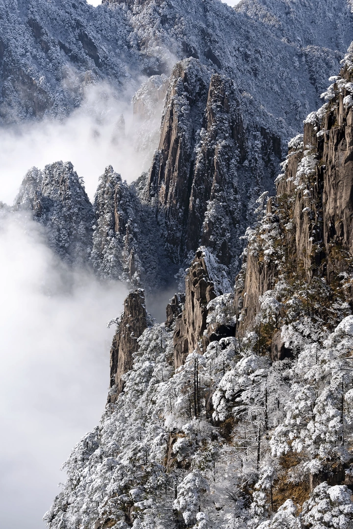《来时山有雪》