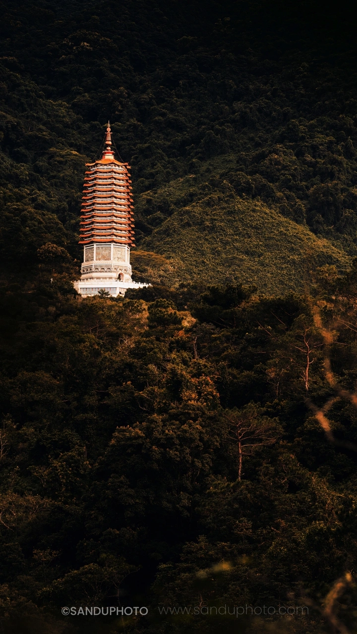 暮秋塔景
