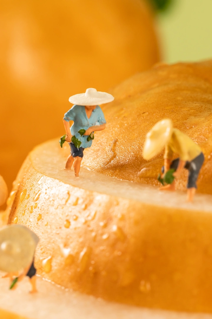 美食摄影