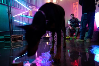 一只黑狗站在一个地板上有灯的房间里