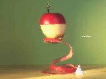 for 胖猫