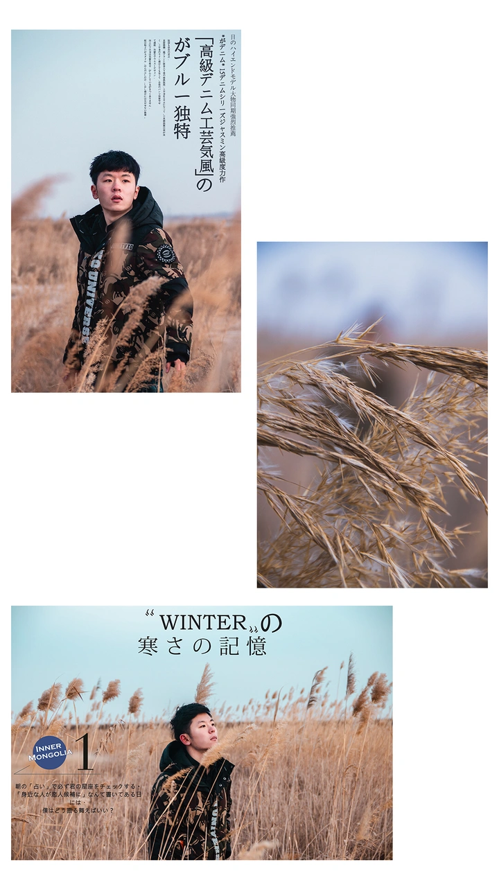 来自高原上的最美情诗 