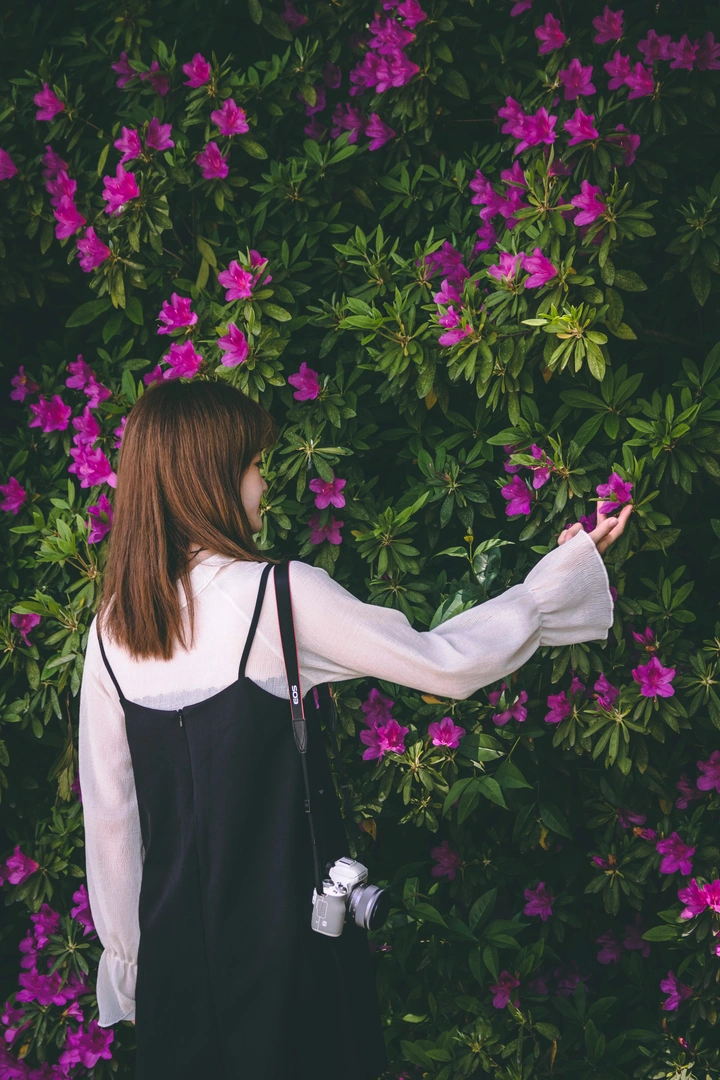 花儿丛