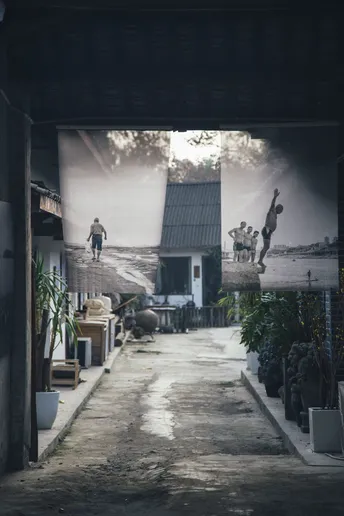 一个带着植物走暗巷的男人