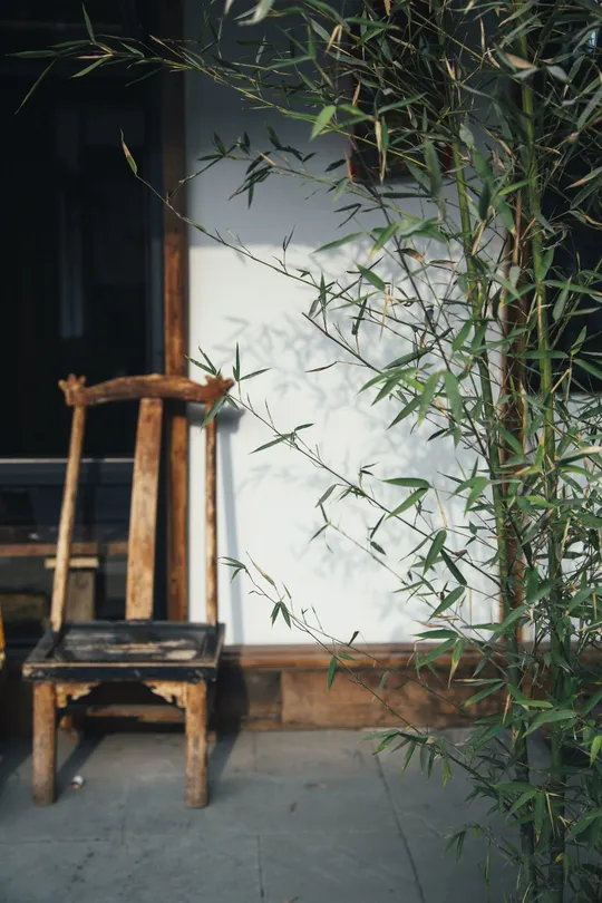 一张木凳子坐在一株植物旁边 一张木椅子在建筑物的前面。