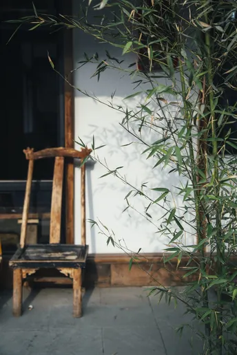 一张木凳子坐在一株植物旁边 一张木椅子在建筑物的前面。