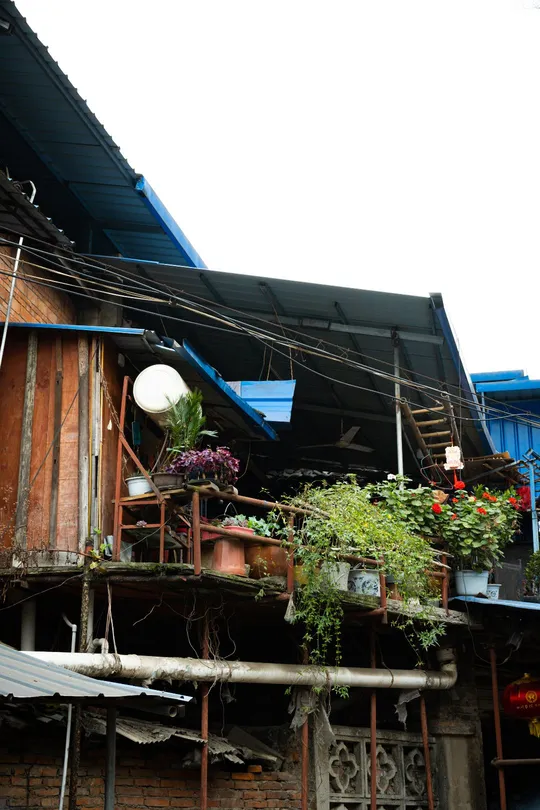 阳台上有花的房子