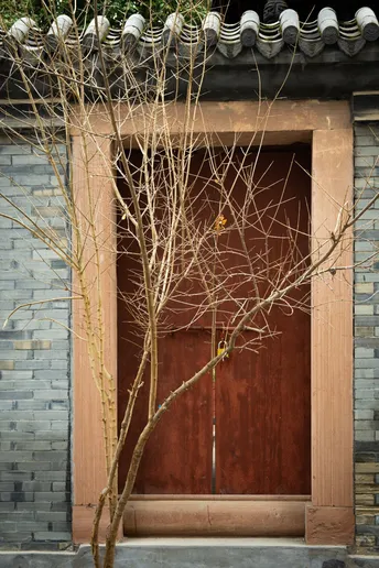 带有红门的房子入口和小树