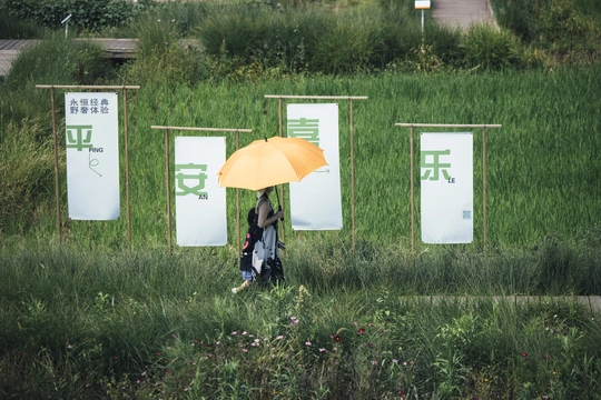 一位女士手持橙色雨伞在绿色草地上行走
