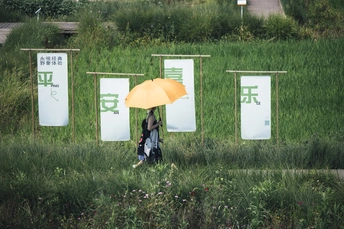 一位女士手持橙色雨伞在绿色草地上行走