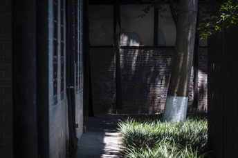 一个黑暗的庭院 有一些树木、草地和消防栓。