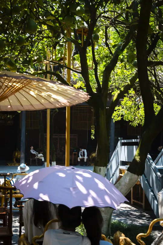 人们在咖啡馆的树下 坐在遮阳伞下的长椅上。