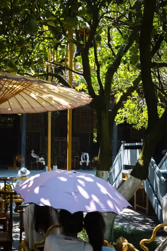 人们在咖啡馆的树下 坐在遮阳伞下的长椅上。
