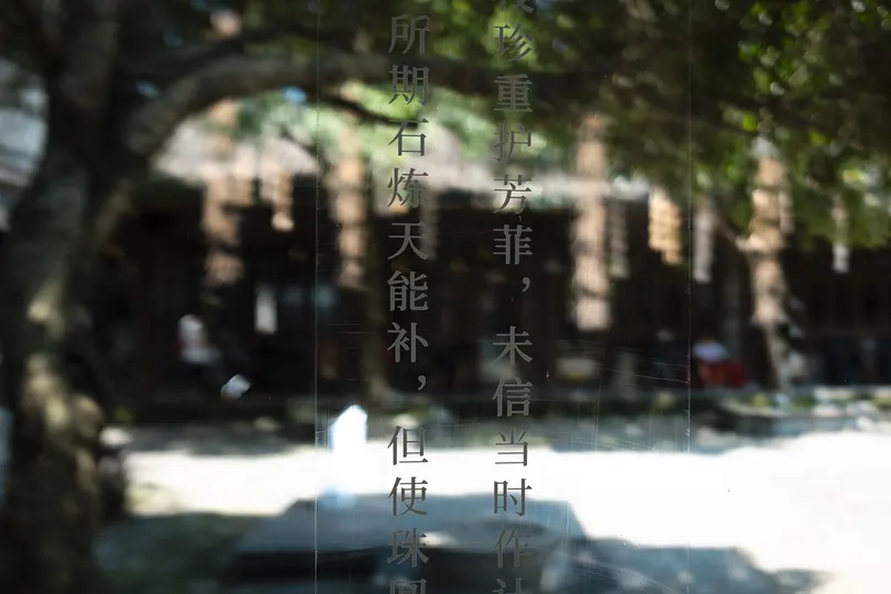 挂在一棵树上的一个标志