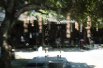 挂在一棵树上的一个标志