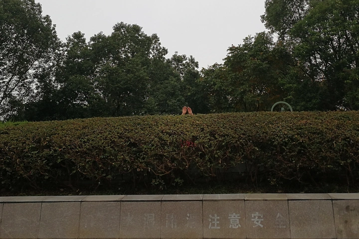 没什么意思