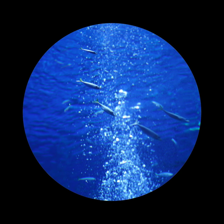Circle