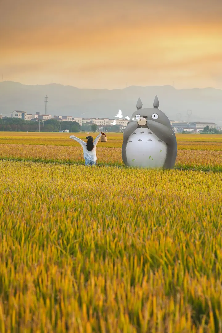 秋天稻田