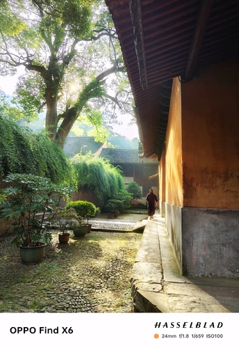 一个人在有树和植物的房屋庭院里走下小径