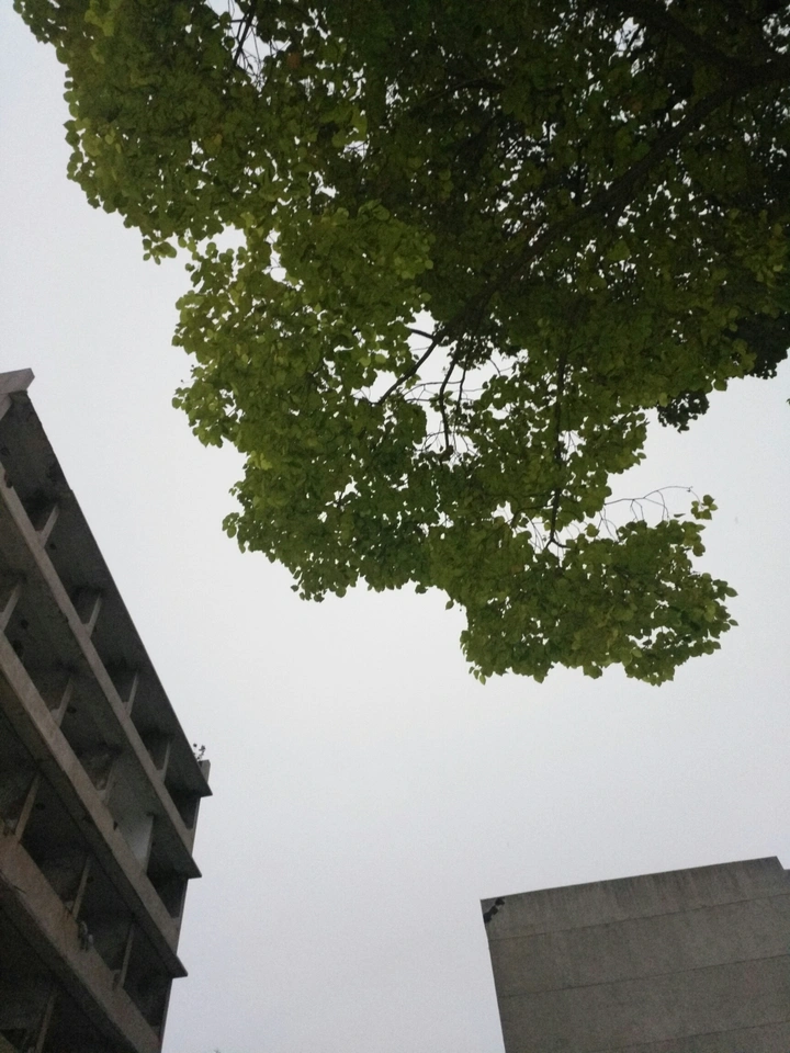 三足鼎立