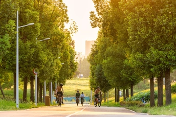 人们骑着自行车走在绿树成荫的路上