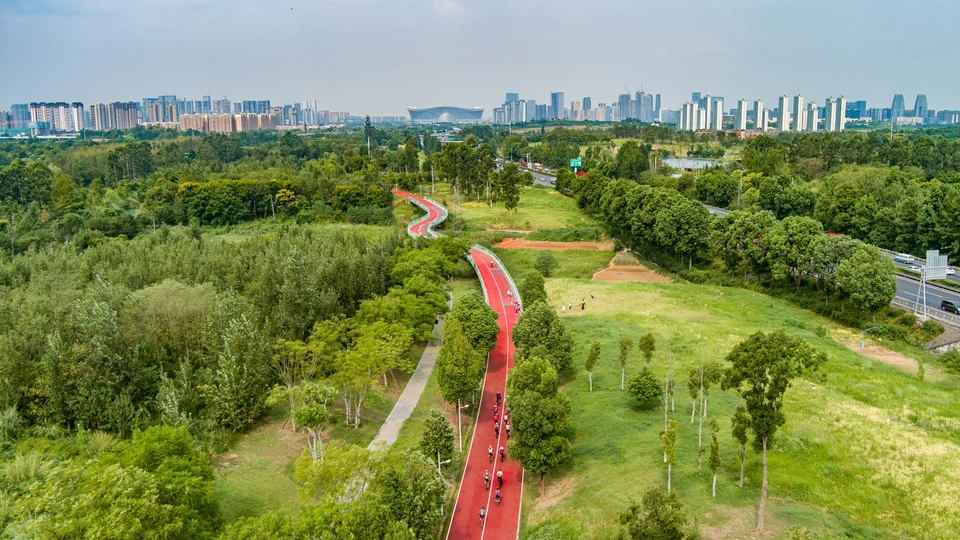 绿树成荫、红色道路环绕的公园鸟瞰图