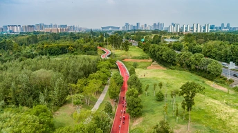 绿树成荫、红色道路环绕的公园鸟瞰图